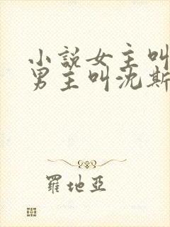 小说女主叫姜念男主叫沈斯年