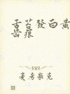 舌苔发白黄腻有齿痕