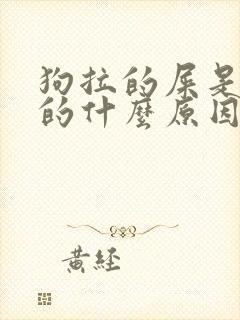 狗拉的屎是白色的什么原因