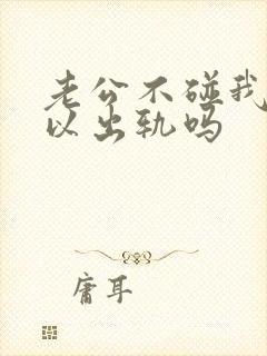 老公不碰我我可以出轨吗