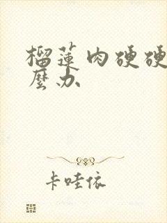 榴莲肉硬硬的怎么办