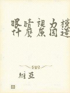 眼睛视力模糊是什么原因造成的