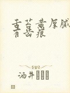 舌苔黄厚腻两边有齿痕