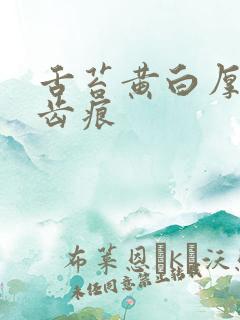 舌苔黄白厚腻有齿痕