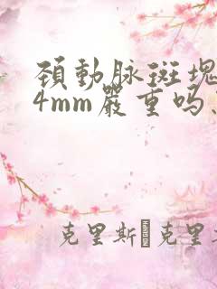 颈动脉斑块1.4mm严重吗怎么治