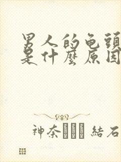 男人的龟头不硬是什么原因