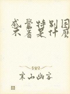 感觉特别困又睡不着是什么原因