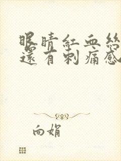 眼睛红血丝很多还有刺痛感是怎么回事