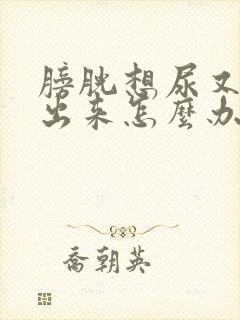 膀胱想尿又尿不出来怎么办