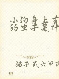 小狗身上有白色的虫子是什么