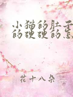 小猫的肚子鼓鼓的硬硬的怎么回事