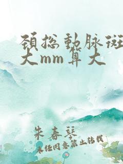 颈总动脉斑块多大mm算大