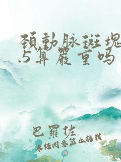 颈动脉斑块厚2.5算严重吗