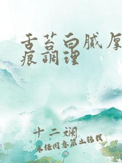 舌苔白腻厚有齿痕调理