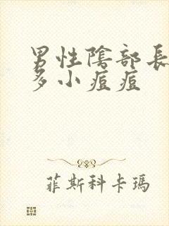 男性阴部长了好多小痘痘