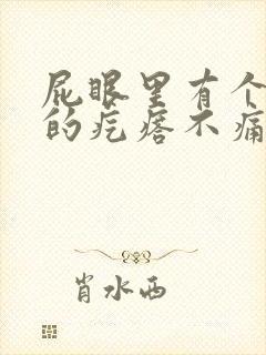 屁眼里有个硬硬的疙瘩不痛不痒