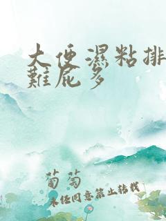 大便湿粘排便困难屁多