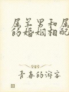 属羊男和属蛇女的婚姻相配吗