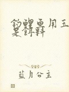 钓鲤鱼用玉米还是饵料
