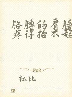 胳膊的肩膀疼,疼得抬不起来了