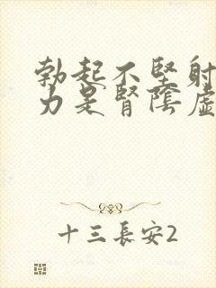 勃起不坚射精无力是肾阴虚还是阳虚