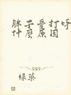 胖子爱打呼噜是什么原因