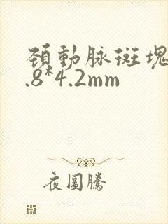颈动脉斑块17.8*4.2mm