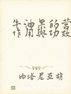 牛油果的营养和作用与功效