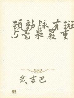 颈动脉有斑块1.5毫米严重