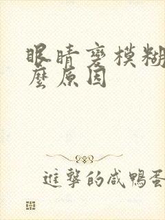 眼睛变模糊是什么原因