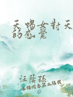 天蝎女对天蝎男的感觉