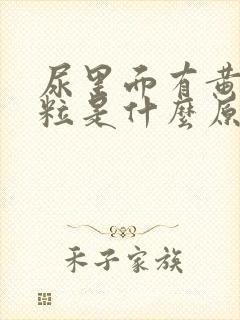 尿里面有黄色颗粒是什么原因