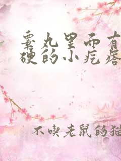 睾丸里面有个硬硬的小疙瘩还滑动