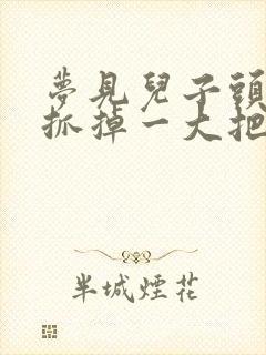 梦见儿子头发一抓掉一大把