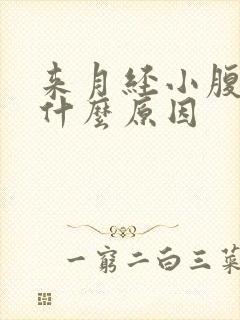 来月经小腹坠痛什么原因