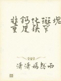 非钙化斑块管腔重度狭窄