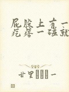 屁股上有一个硬疙瘩一碰就痛