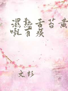 湿热舌苔黄厚喉咙有痰