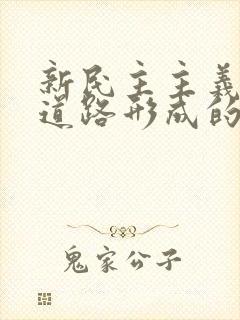 新民主主义革命道路形成的意义