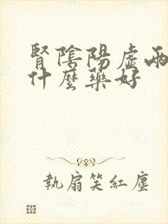 肾阴阳虚两虚吃什么药好