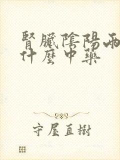 肾脏阴阳两虚吃什么中药