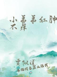 小弟弟红肿不疼不痒