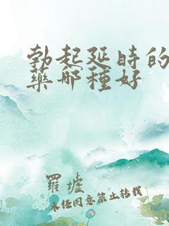 勃起延时的双效药哪种好