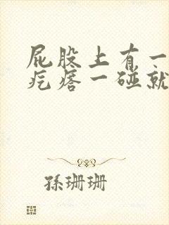 屁股上有一个硬疙瘩一碰就痛