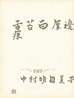 舌苔白厚边缘齿痕