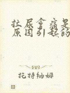 拉尿会痛是什么原因引起的