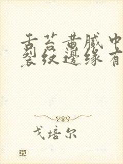 舌苔黄腻中间有裂纹边缘有齿痕