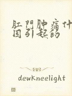 肛门肿痛什么原因引起的