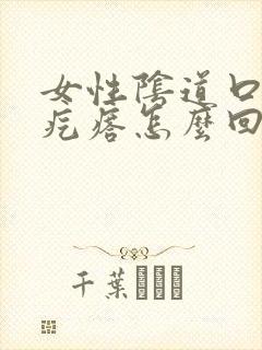 女性阴道口有肉疙瘩怎么回事