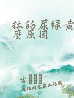 拉的尿绿黄是什么原因